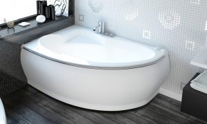 Aquatica bath tubs are exceptionally beautiful with Toilet Installation