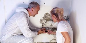 Drastic effects of mold in your house