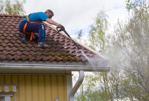 Know some facts about gutter cleaning services