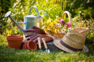 Gardening Supplies