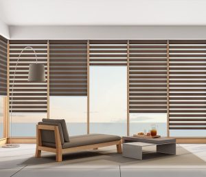 Blinds For Windows