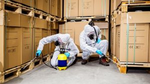 How can you able to find the best commercial pest control services?