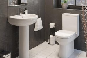 The Benefits of Upgrading to a Modern Flush Toilet